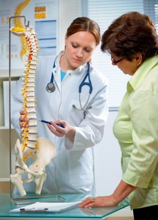 Spine Spine
