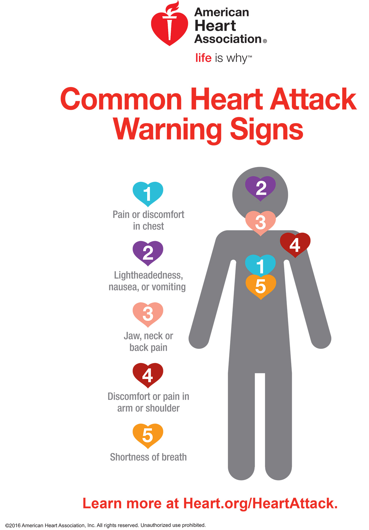 How Is Heart Disease Different in Women? > News > Yale Medicine